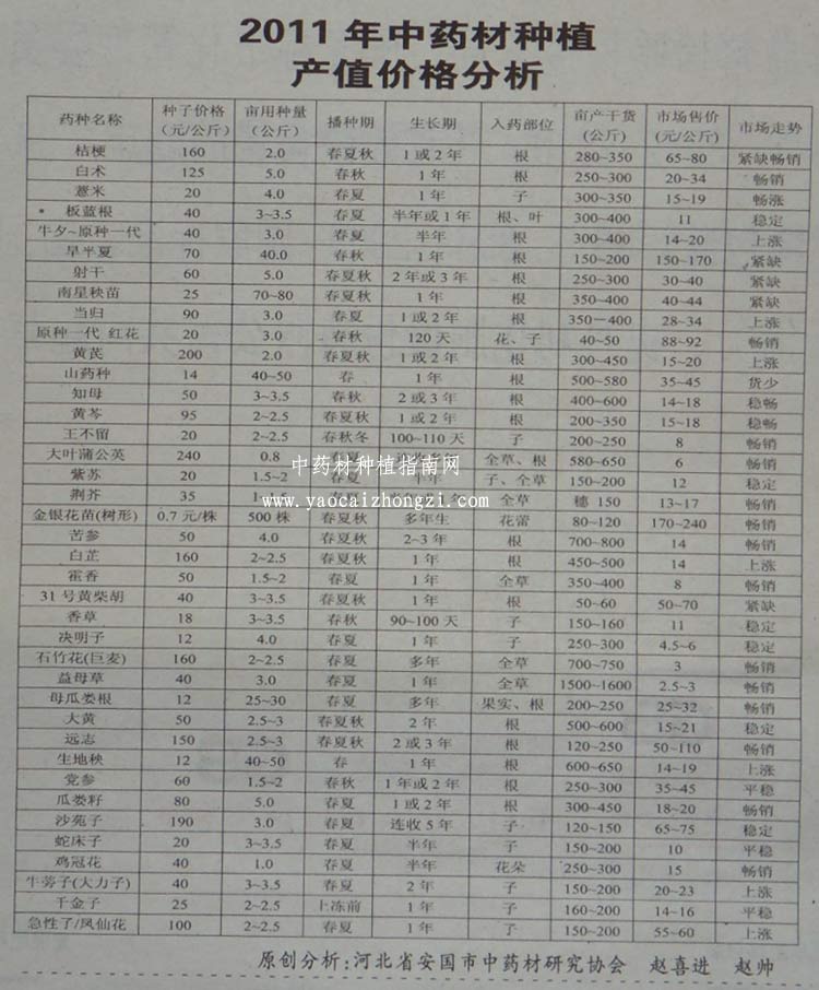 最新中药材价格信息网，洞悉市场动态的关键平台