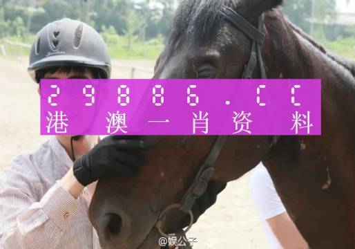 澳门今晚必中一肖一码准确9995,实地验证分析_V版64.127