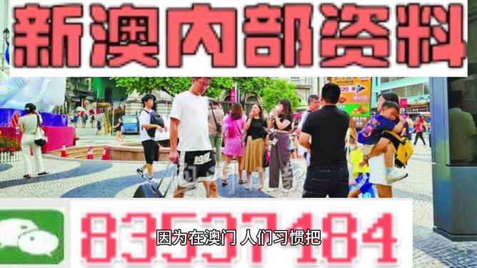 2024新澳精准资料大全,确保解释问题_OP32.739