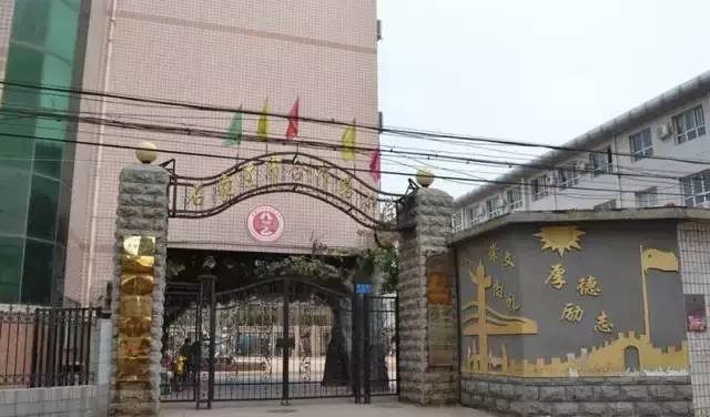 石家庄小学新星闪耀，教育之光引领未来前十名榜单出炉