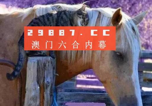 今晚澳门必中一肖一码四不像,快速设计问题策略_SE版68.286