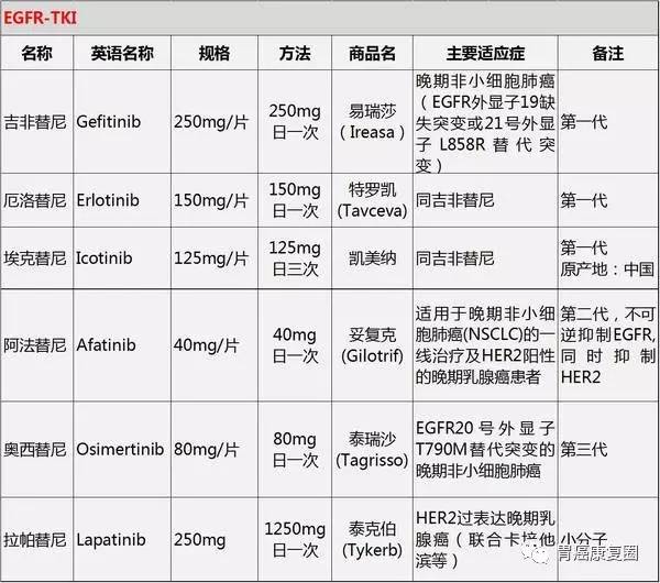 靶向药2023价格一览表,可靠信息解析说明_ios57.747