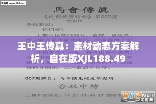 7777788888王中王中特,动态解读说明_FT81.224