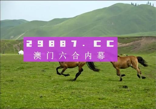 澳门跑狗,时代说明评估_尊贵版59.369