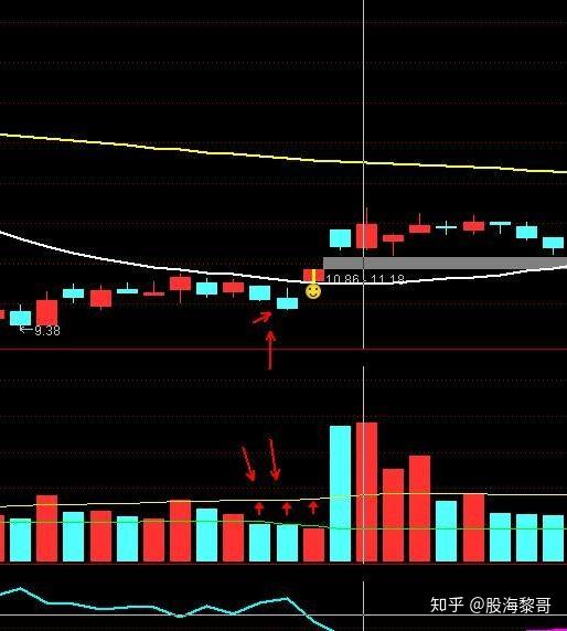 新澳门内部一码最精准公开,可靠性方案操作_yShop13.38