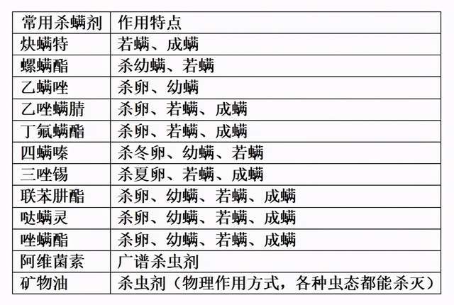 新奥门资料免费资料,高效性实施计划解析_36062.676