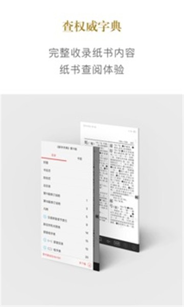 澳门三肖三码精准100%新华字典,战略性实施方案优化_app20.817