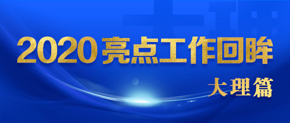 新澳门内部资料精准大全,实效设计策略_挑战版20.235