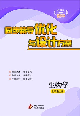 新澳2024正版免费资料,持久性策略设计_网红版19.120