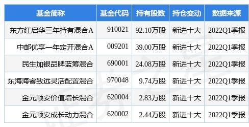 广东八二站资料免费大公开,系统化说明解析_36087.62