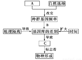 新澳最新最快资料351期,理论研究解析说明_娱乐版86.778