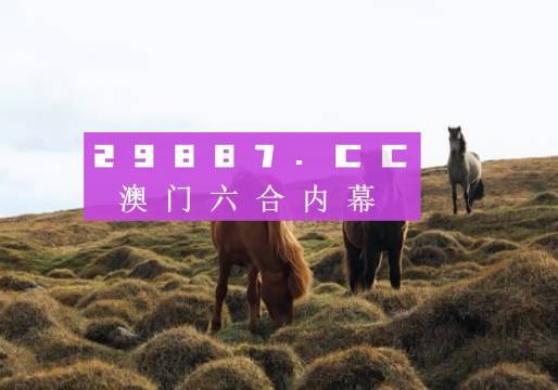 澳门4949开奖现场直播+开,科学分析解析说明_户外版60.576