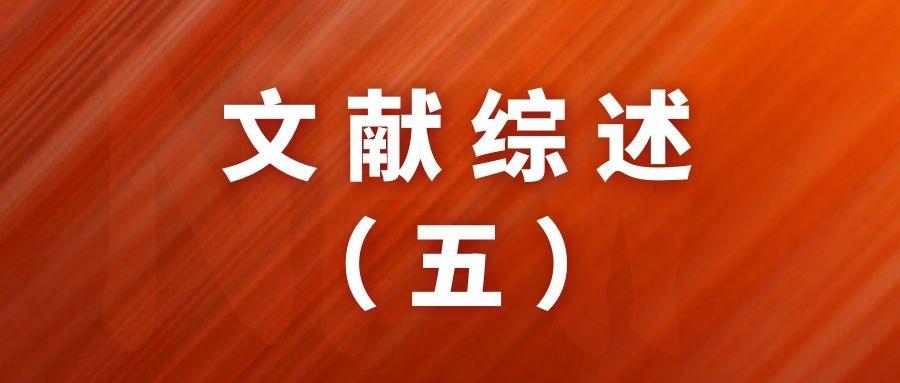 管家婆2024正版资料三八手,经济方案解析_复古款75.210