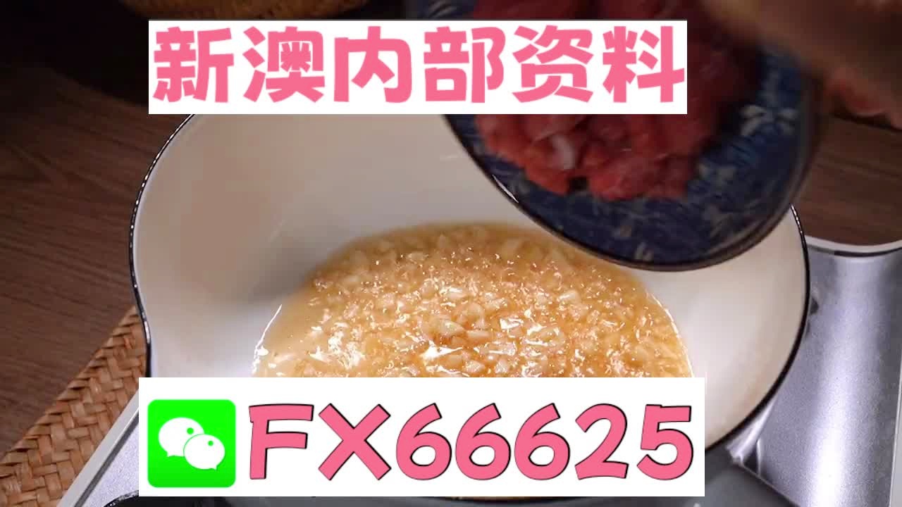 新澳门精准10码中特,权威解读说明_精装版82.979