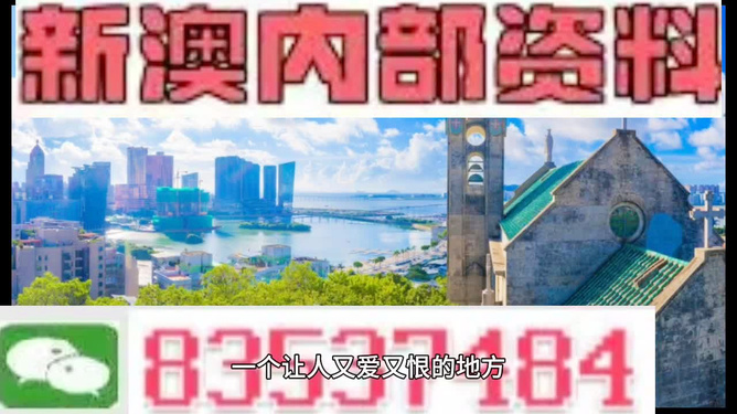 新澳门开奖结果查询今天,动态词语解释落实_经典版21.706