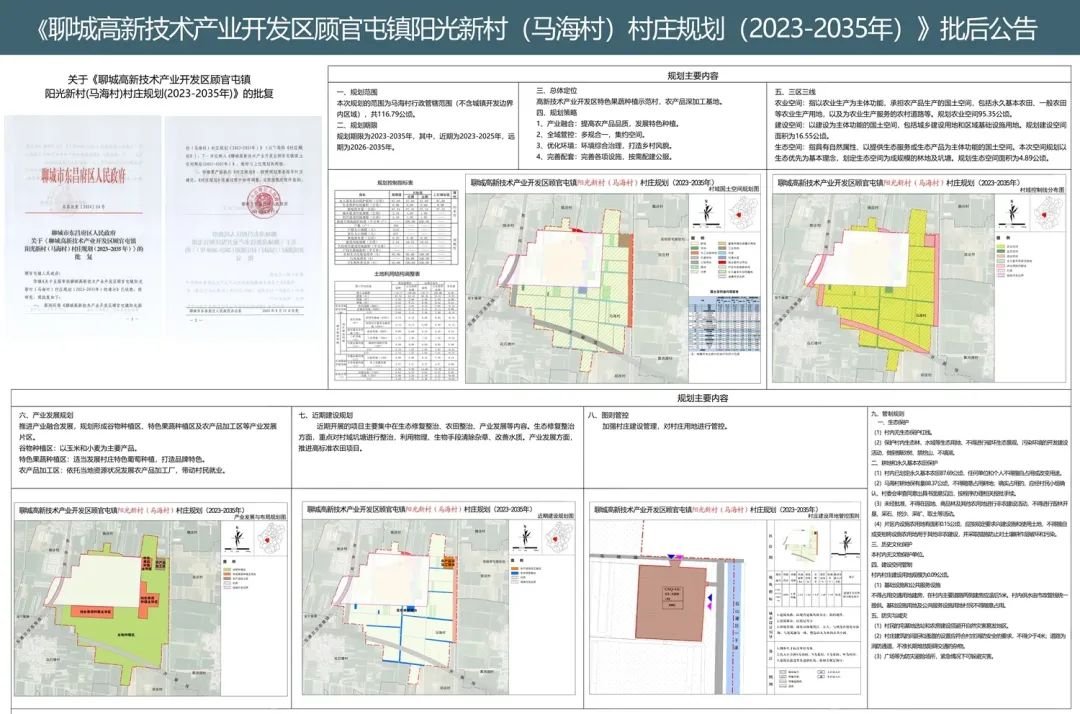 某村庄最新发展规划制定指南