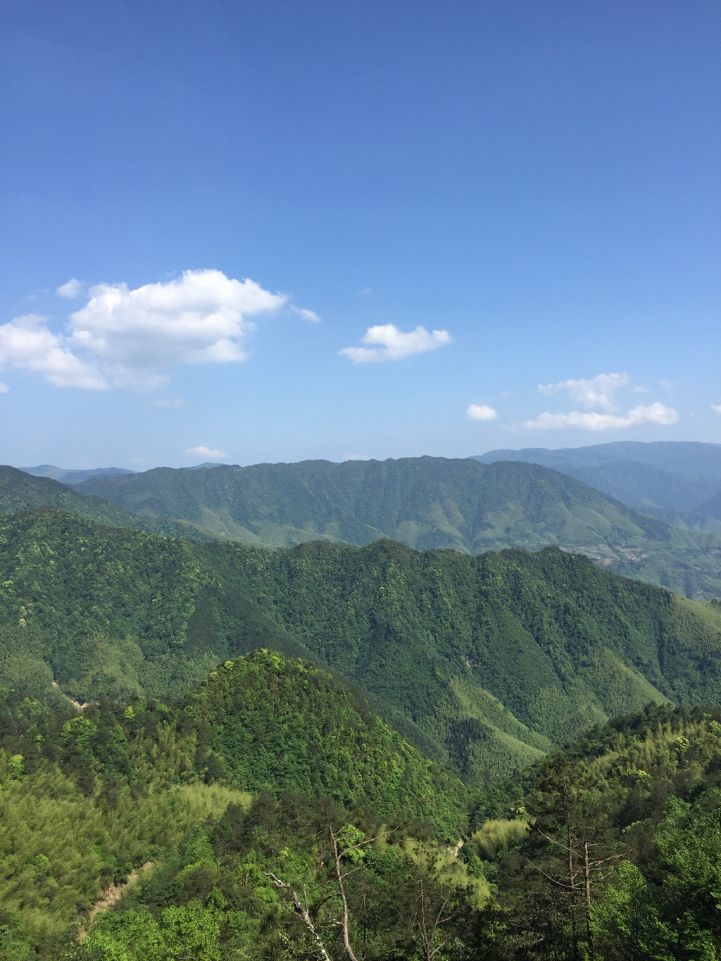 炎陵县桃源洞管理局天气预报更新通知