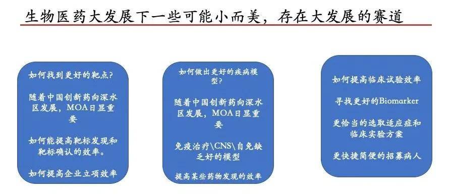 三肖三期必出特马,实地设计评估方案_领航款14.196