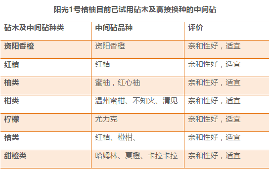 白小姐三肖三期必出一期开奖,收益说明解析_AR版48.461