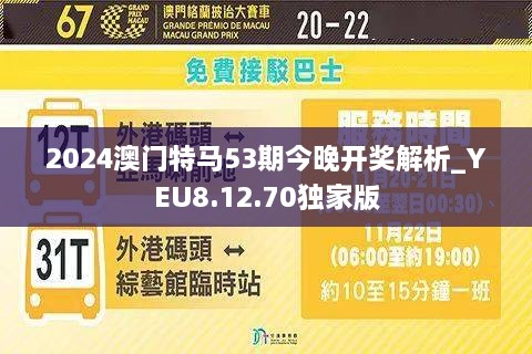 2024年澳门特马今晚,可靠解答解释落实_X版86.663