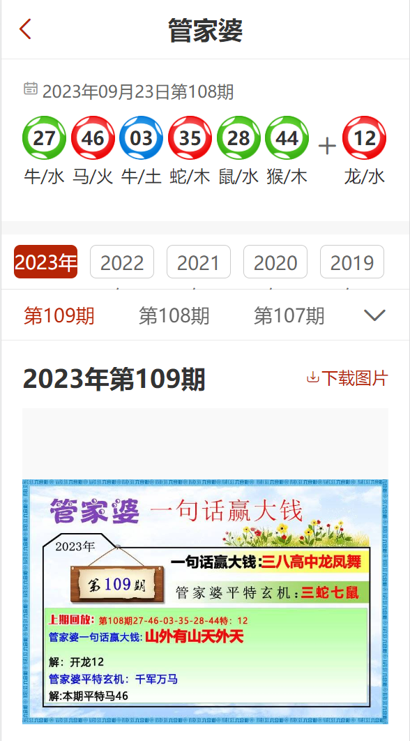 管家婆2024资料精准大全,实际应用解析说明_WP版31.146