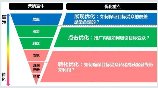 垂耳兔 第2页