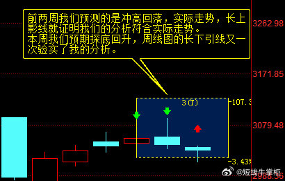 一码中持一一肖一码,现状分析说明_限量版82.24