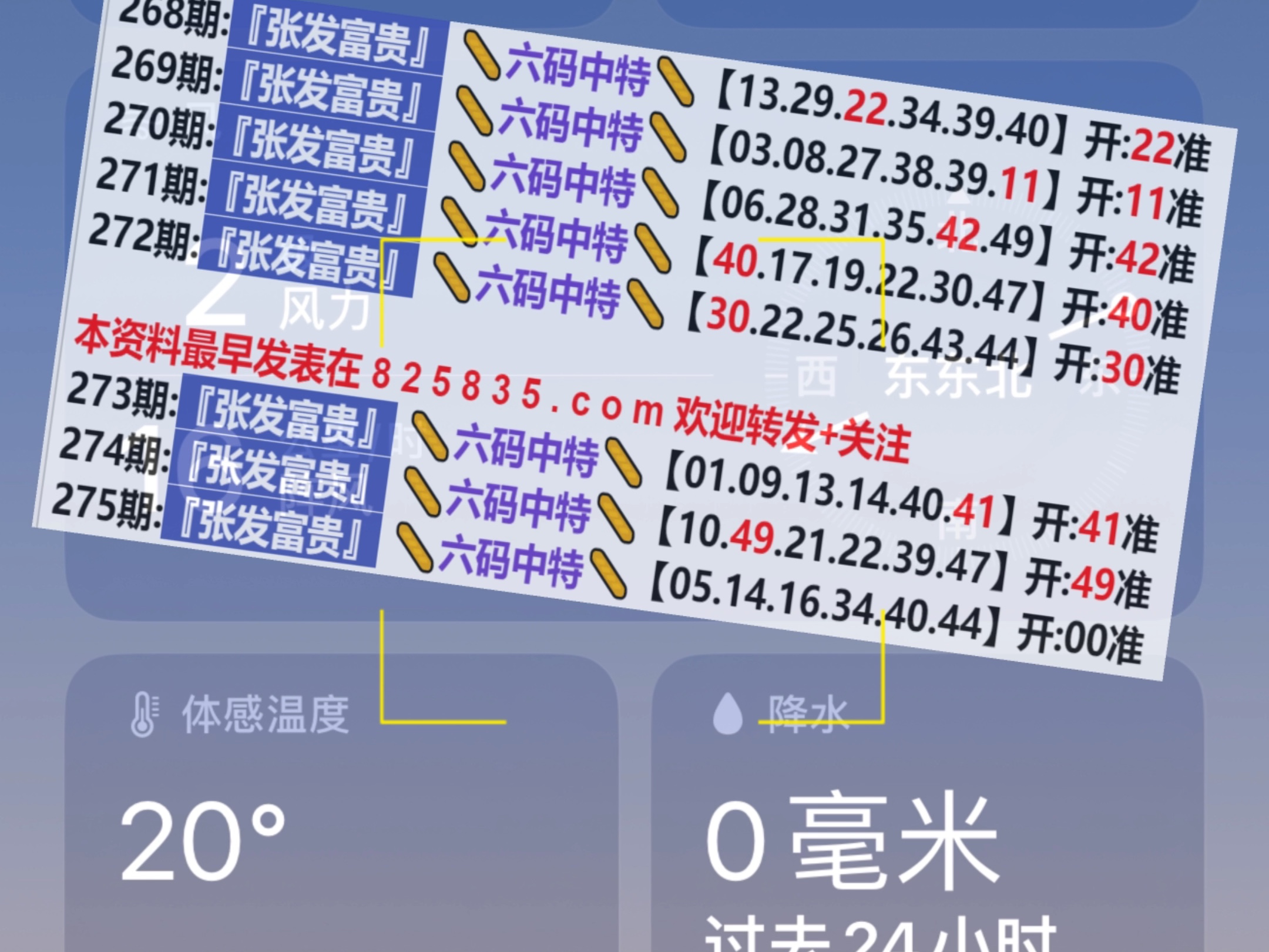 2024新奥门天天开好彩大全85期,迅速执行解答计划_PalmOS68.488