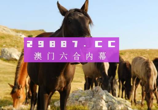 澳门管家婆一肖一码一中一开,适用设计解析策略_标准版22.305