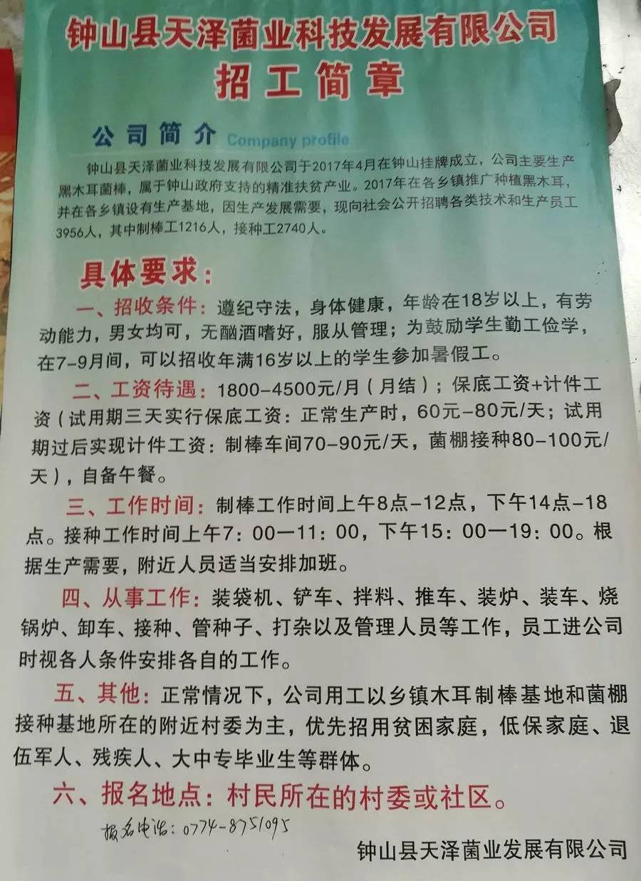 米村镇最新招聘信息汇总