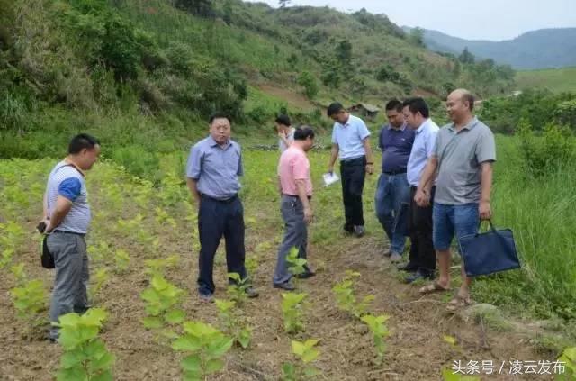 龙化乡新项目引领乡村发展新篇章