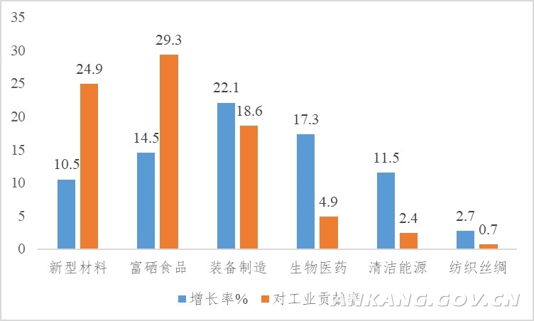 安康市文化局最新发展规划概览