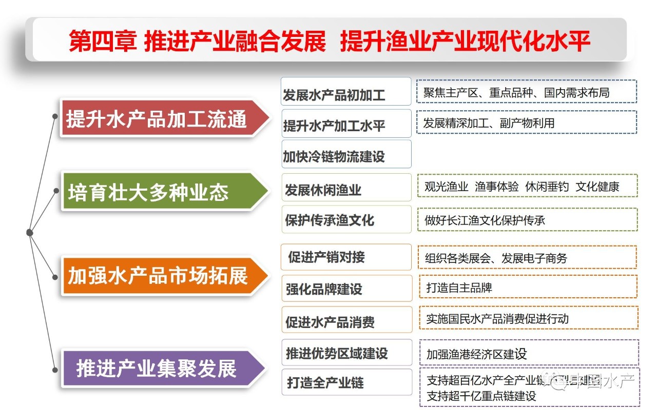 渔业社探索可持续性与创新性融合的新发展规划之路