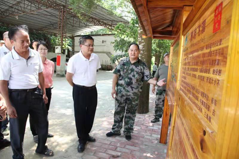 南盛镇未来繁荣蓝图，最新发展规划揭秘