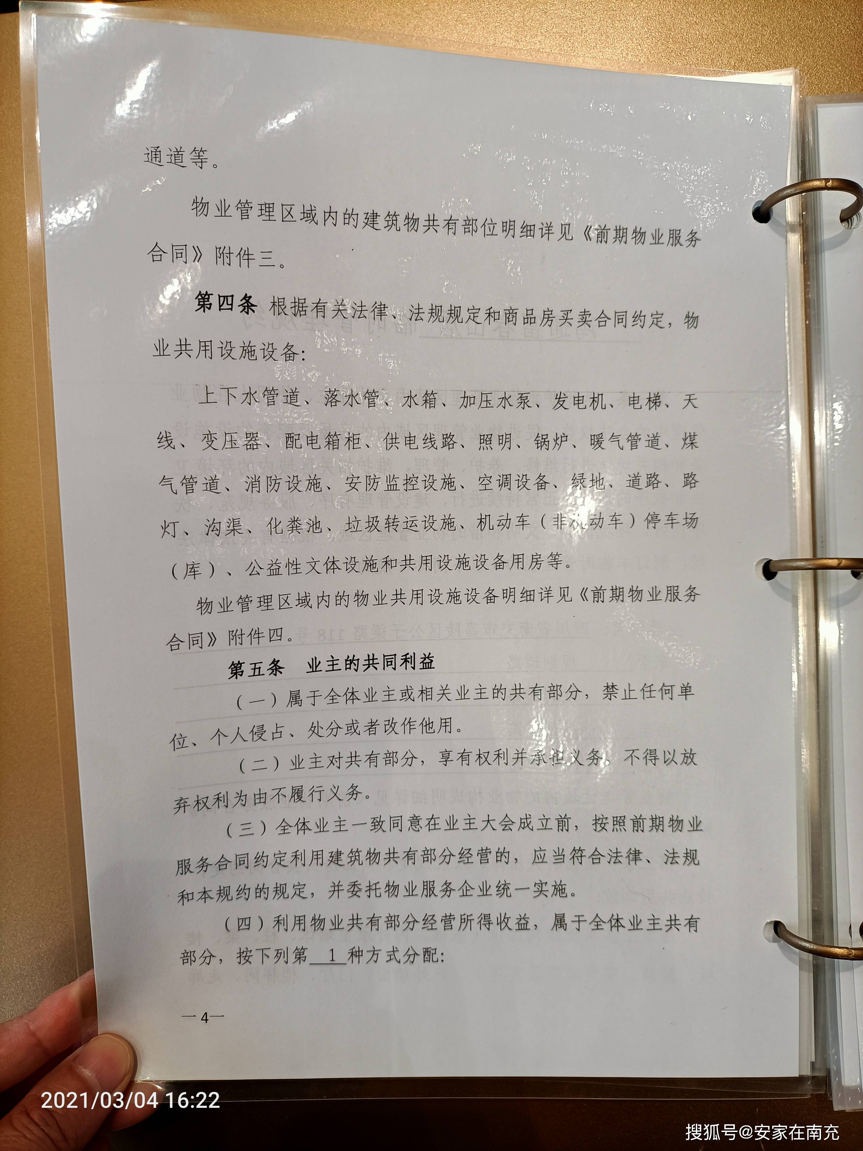 岳麓区数据和政务服务局新项目推动数字化转型，政务服务效能飞跃提升