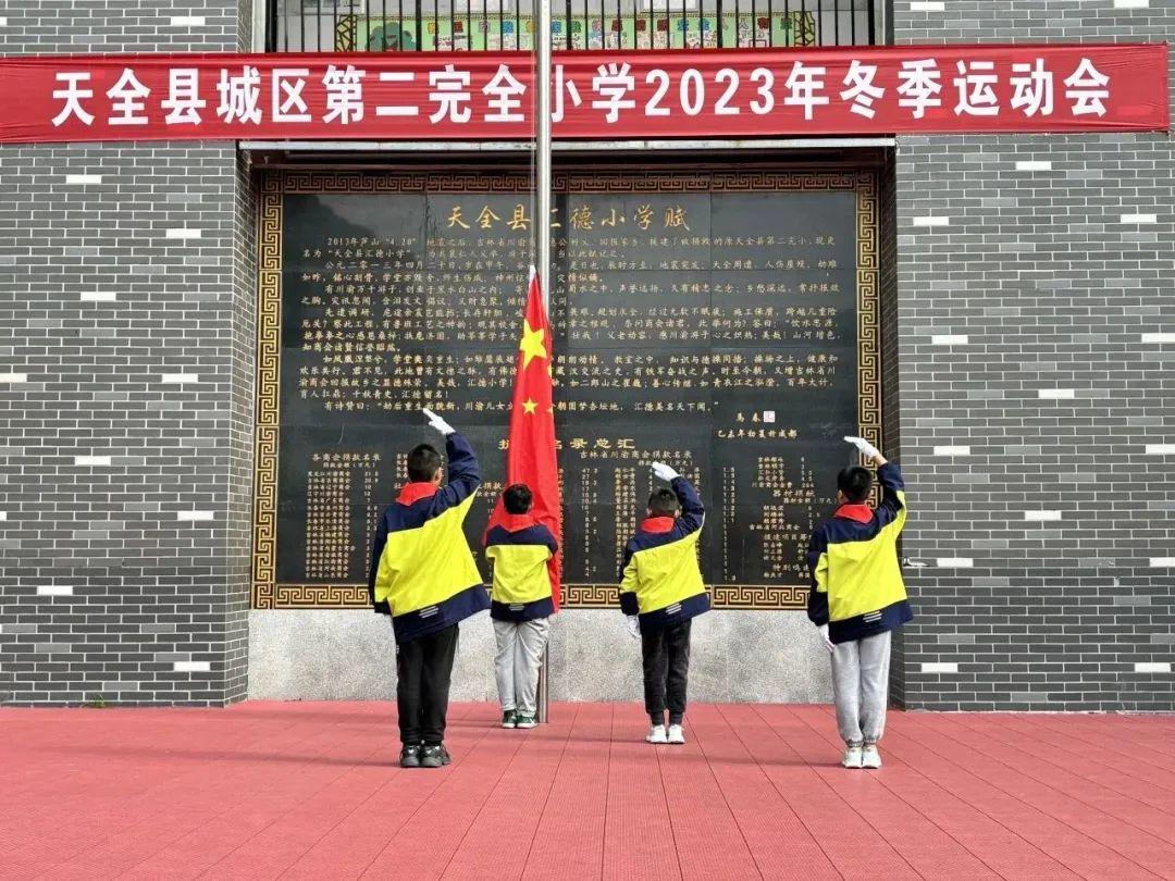 天全县小学未来教育蓝图，最新发展规划揭秘