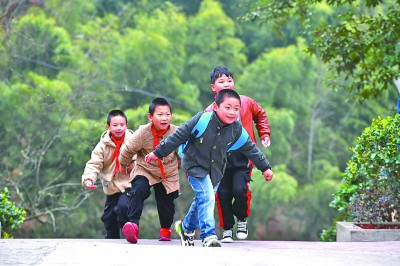 政和县小学最新动态报道