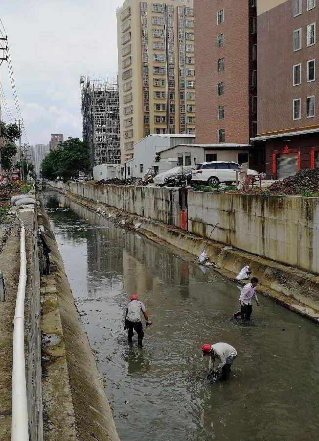 流沙南街道最新项目，引领城市崭新篇章发展之路