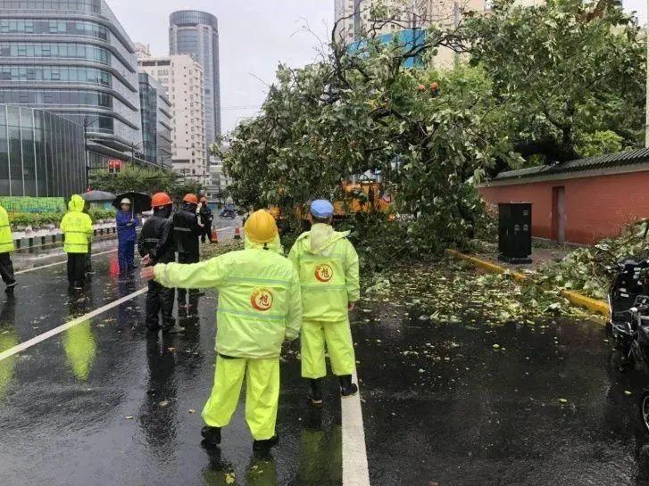 徐汇区交通运输局最新动态速递