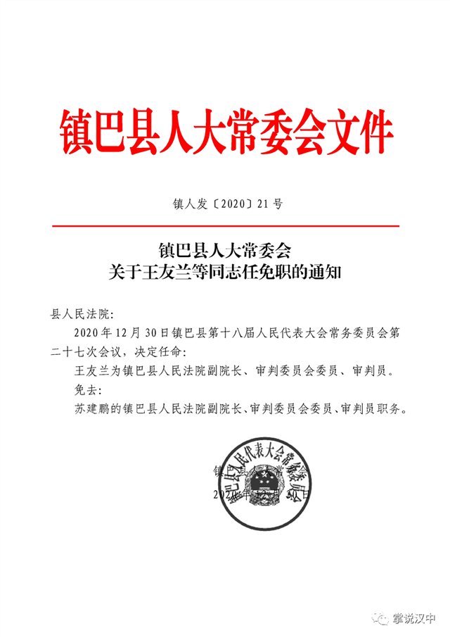 金大村委会人事重塑，推动村级发展的领导团队任命