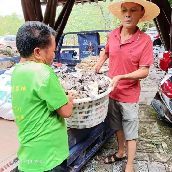 湘东区医疗保障局领导团队及重要职责概览