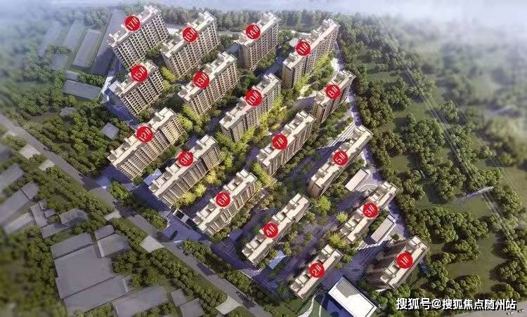 昌都地区市邮政局领导概览最新发布