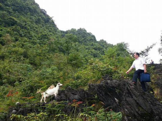 地平村新任领导引领村庄开启崭新篇章